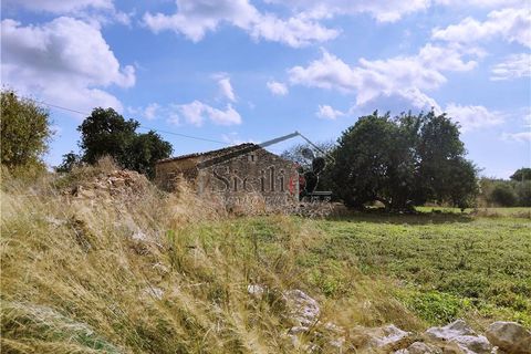 Villa a Scicli, Ragusa, Scicli - € 70.000 | Ref: 215 - foto 6
