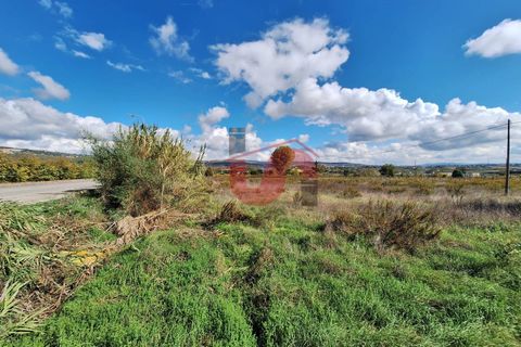 Helårsgrund i Benevento, Benevento, Benevento - € 139.000 | Ref: AA39779 - foto 3