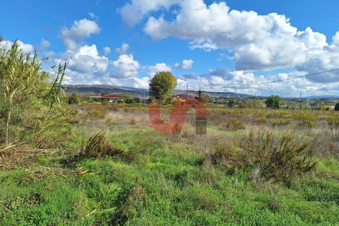 Helårsgrund i Benevento, Benevento, Benevento - € 139.000 | Ref: AA39779 - foto 4