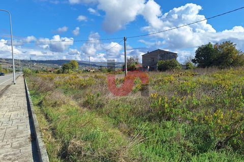 Helårsgrund i Benevento, Benevento, Benevento - € 139.000 | Ref: AA39779 - foto 11