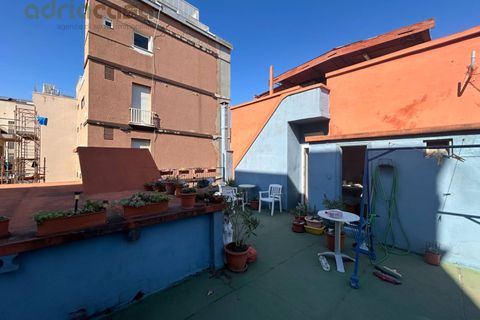 Erhvervsejendom i Cattolica, Rimini, Cattolica - € 500.000 | Ref: LA120 - foto 4