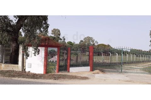 Farm i Setubal, Setubal, Setubal - € 636.900 | Ref: 7385 - foto 2