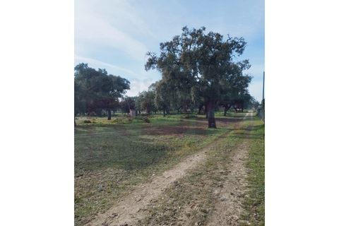 Farm i Setubal, Setubal, Setubal - € 636.900 | Ref: 7385 - foto 4
