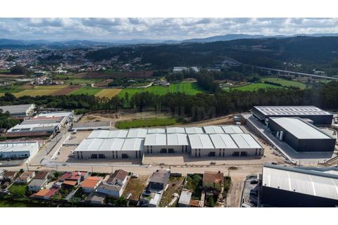 Erhvervsejendom i Trofa, Porto, Trofa - € 530.000 | Ref: 3467_M_R - foto 18