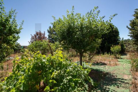 Villa i Mafra, Lisbon, Mafra - € 760.000 | Ref: KWPT-023325 - foto 47