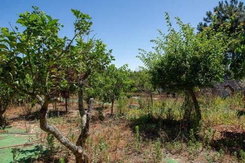 Villa i Mafra, Lisbon, Mafra - € 760.000 | Ref: KWPT-023325 - foto 48