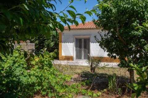 Villa i Mafra, Lisbon, Mafra - € 760.000 | Ref: KWPT-023325 - foto 49