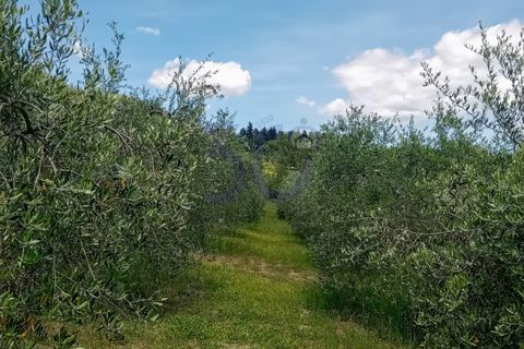 Villa a Capolona, Arezzo, Capolona - € 780.000 | Ref: V0001CD - foto 6