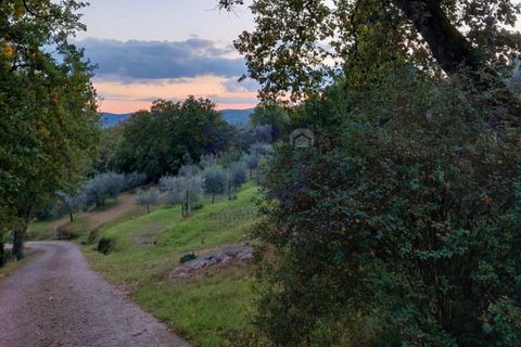 Villa a Capolona, Arezzo, Capolona - € 780.000 | Ref: V0001CD - foto 9