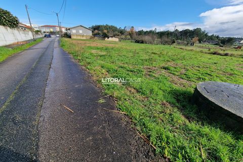 Helårsgrund i Oliveira do Bairro, Aveiro, Oliveira do Bairro - € 65.000 | Ref: VEN-3615 - foto 2