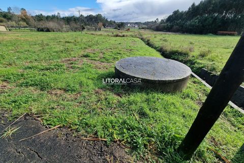 Helårsgrund i Oliveira do Bairro, Aveiro, Oliveira do Bairro - € 65.000 | Ref: VEN-3615 - foto 3