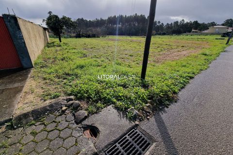 Helårsgrund i Oliveira do Bairro, Aveiro, Oliveira do Bairro - € 65.000 | Ref: VEN-3615 - foto 4