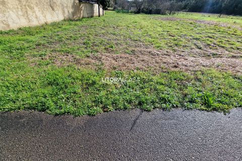 Helårsgrund i Oliveira do Bairro, Aveiro, Oliveira do Bairro - € 65.000 | Ref: VEN-3615 - foto 5