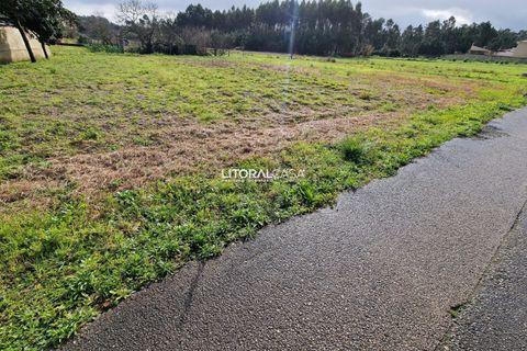 Helårsgrund i Oliveira do Bairro, Aveiro, Oliveira do Bairro - € 65.000 | Ref: VEN-3615 - foto 6