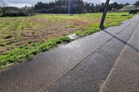 Helårsgrund i Oliveira do Bairro, Aveiro, Oliveira do Bairro - € 65.000 | Ref: VEN-3615 - foto 7