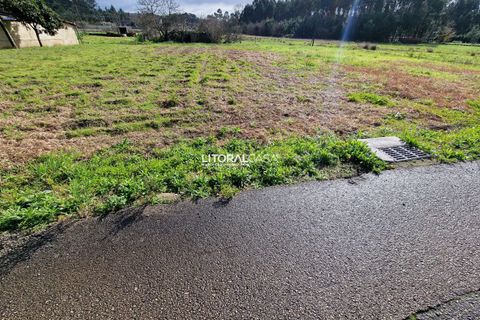 Helårsgrund i Oliveira do Bairro, Aveiro, Oliveira do Bairro - € 65.000 | Ref: VEN-3615 - foto 8