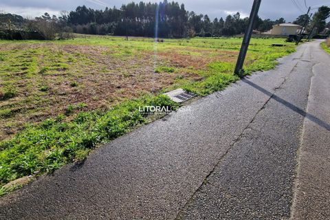 Helårsgrund i Oliveira do Bairro, Aveiro, Oliveira do Bairro - € 65.000 | Ref: VEN-3615 - foto 9