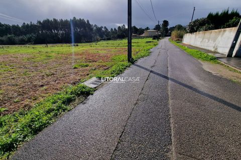 Helårsgrund i Oliveira do Bairro, Aveiro, Oliveira do Bairro - € 65.000 | Ref: VEN-3615 - foto 10