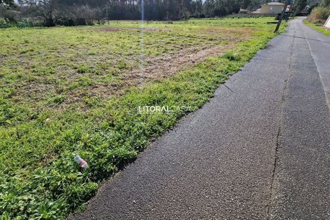 Helårsgrund i Oliveira do Bairro, Aveiro, Oliveira do Bairro - € 65.000 | Ref: VEN-3615 - foto 11
