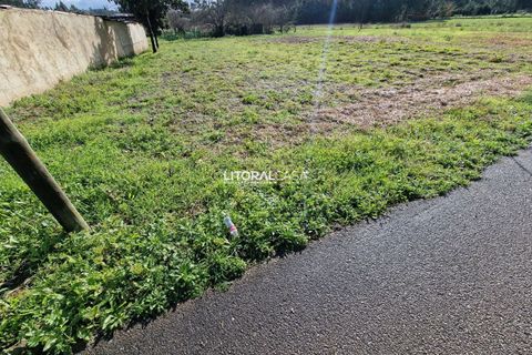 Helårsgrund i Oliveira do Bairro, Aveiro, Oliveira do Bairro - € 65.000 | Ref: VEN-3615 - foto 12