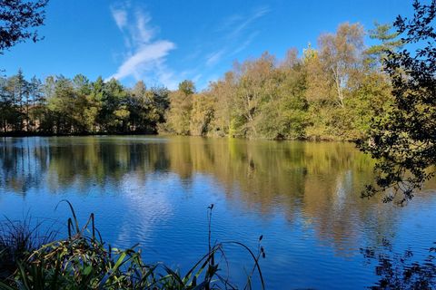 Villa a Meneac, Morbihan, Meneac - € 336.000 | Ref: YL-4937 - foto 9
