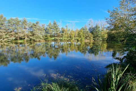 Villa a Meneac, Morbihan, Meneac - € 336.000 | Ref: YL-4937 - foto 10