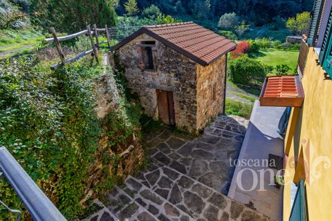 Villa i Bagnone, Massa and Carrara, Bagnone - € 370.000 | Ref: 19221 - foto 44
