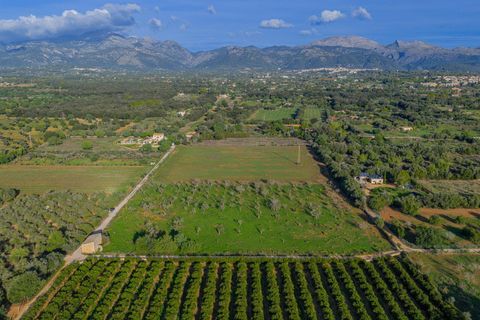 Terra a Buger, Mallorca, Buger - € 199.900 | Ref: 08MRAC004/10961 - foto 7