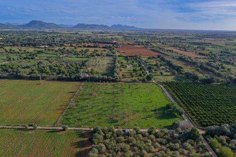 Terra a Buger, Mallorca, Buger - € 199.900 | Ref: 08MRAC004/10961 - foto 8