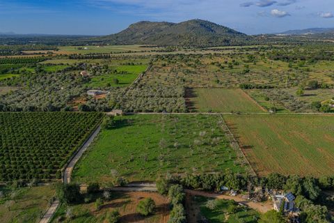 Terra a Buger, Mallorca, Buger - € 199.900 | Ref: 08MRAC004/10961 - foto 10