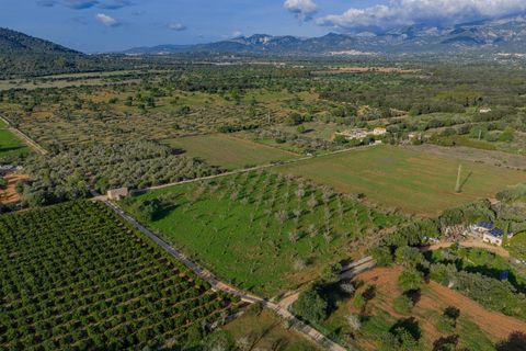 Terra a Buger, Mallorca, Buger - € 199.900 | Ref: 08MRAC004/10961 - foto 11