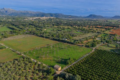 Terra a Buger, Mallorca, Buger - € 199.900 | Ref: 08MRAC004/10961 - foto 12