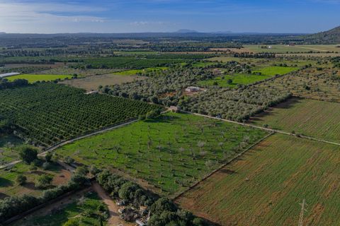 Terra a Buger, Mallorca, Buger - € 199.900 | Ref: 08MRAC004/10961 - foto 13