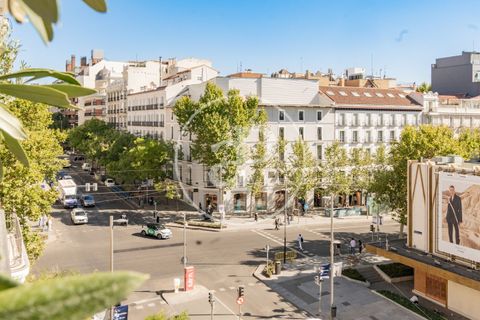Leilighet i Madrid, Madrid, Madrid - € 6 950 000 | Ref: VM2501040 - foto 50