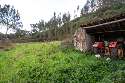 Villa i Monchique, Faro, Monchique - € 129.000 | Ref: 402250071 - foto 7