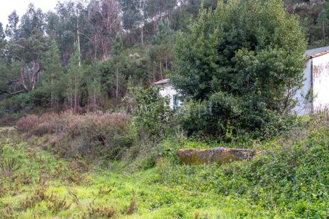 Villa i Monchique, Faro, Monchique - € 129.000 | Ref: 402250071 - foto 10