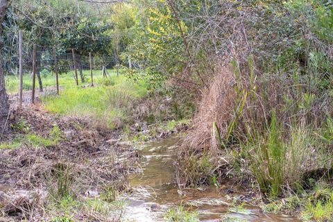 Villa i Monchique, Faro, Monchique - € 129.000 | Ref: 402250071 - foto 11