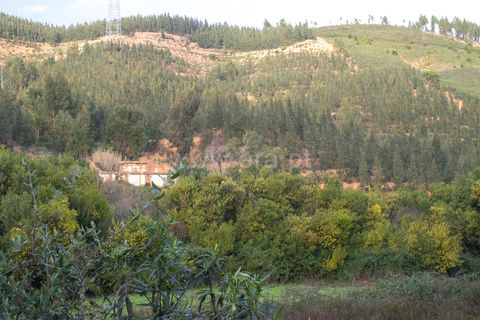 Villa i Monchique, Faro, Monchique - € 129.000 | Ref: 402250071 - foto 13