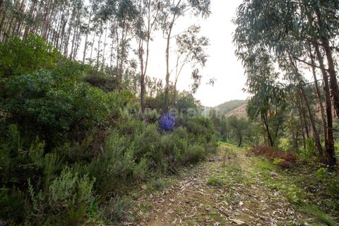 Villa i Monchique, Faro, Monchique - € 129.000 | Ref: 402250071 - foto 15