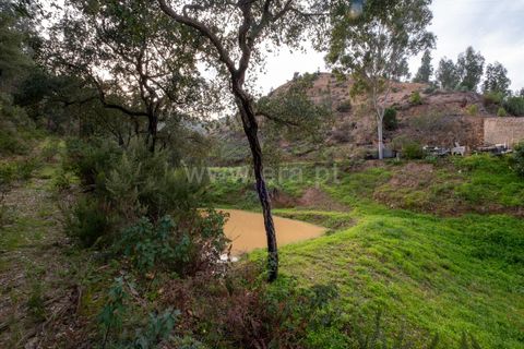 Villa i Monchique, Faro, Monchique - € 129.000 | Ref: 402250071 - foto 16