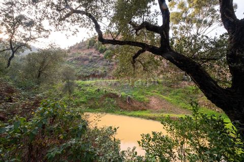 Villa i Monchique, Faro, Monchique - € 129.000 | Ref: 402250071 - foto 17