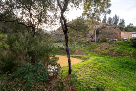Villa i Monchique, Faro, Monchique - € 129.000 | Ref: 402250071 - foto 19