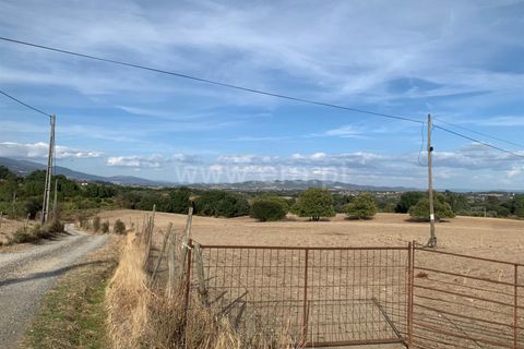 Helårsgrund i Fundao, Castelo Branco, Fundao - € 27.500 | Ref: 255250196 - foto 3