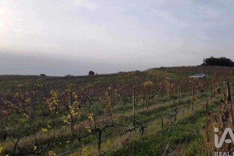 Helårsgrund i Bombarral, Leiria, Bombarral - € 270.000 | Ref: 150017 - foto 3