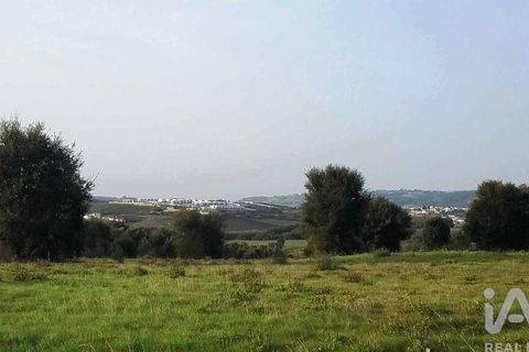 Helårsgrund i Bombarral, Leiria, Bombarral - € 270.000 | Ref: 150017 - foto 13