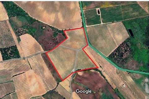 Helårsgrund i Bombarral, Leiria, Bombarral - € 270.000 | Ref: 150017 - foto 15