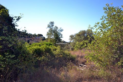 Grond in Loule, Faro, Loule - € 95.000 | Ref: 1009-2399 - foto 13