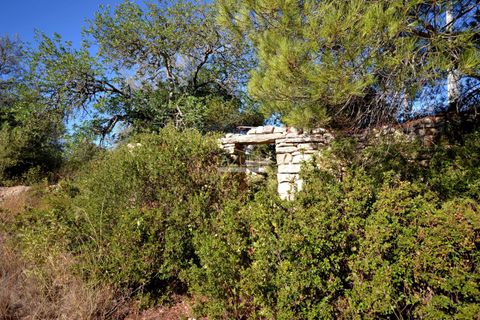 Grond in Loule, Faro, Loule - € 95.000 | Ref: 1009-2399 - foto 14
