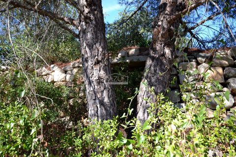Grond in Loule, Faro, Loule - € 95.000 | Ref: 1009-2399 - foto 15