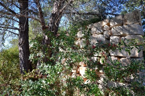 Grond in Loule, Faro, Loule - € 95.000 | Ref: 1009-2399 - foto 16